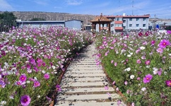 午夜理论电影在线观看亚洲